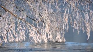Съемка с рук на Nikon CoolPix P530 с включенным стабилизатором и большим зумом