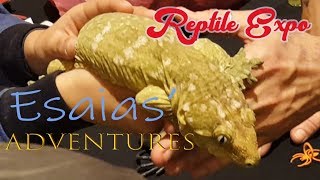 Esaias' Adventures Reptile Expo with funny interesting snakes reptiles bearded dragons exotic pets