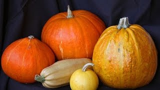 Как сохранить тыкву и кабачки полезные советы по хранению для всех