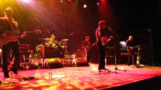 Lloyd Cole & The Leopards - Forest Fire [Live]