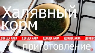 как приготовить халявный корм для рыбок, How to make fish food, cómo hacer alimento para peces
