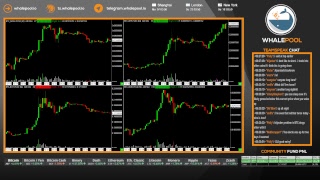 Whalepool: Live Bitcoin / Cryptocurrency Trading Pit
