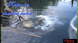 Рыбалка на карпа на боковой кивок.