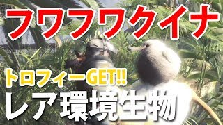 【激レア環境生物】トロフィーフワフワな抱きごこち！フワフワクイナ【MHW】