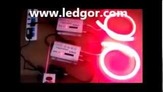 how to connect DMX system for many lines RGB led neon light by remote control - Ledgor.com