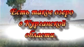 Есть такое озеро в Курганской области.Сад Зауралья.
