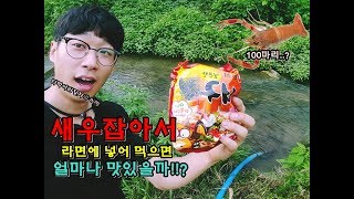 뜰채 하나로 시냇가에서 새우잡아서 라면 끓여 먹어보자!! 존맛!ㅋㅋㅋㅋ  [정브르] / Let's collect shrimp and eat.