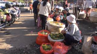 NET5 Pasar Canang di Bali