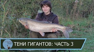 Карпфишинг: ловля белого амура осенью