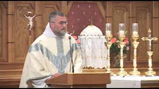 Jan 23 - Homily: Espousal of Mary
