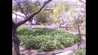 Продам или обменяю дом в экологически чистом Кизомысе (Херсонская обл.)