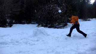 Bois barbu Winter 2014 Part II