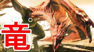 #17【ダークソウル2/PS4版】大量生産されているボス！？【ダークソウルII】【実況】