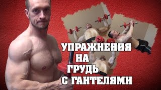 Упражнения для груди с гантелями
