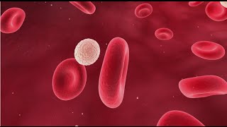 What Causes Rheumatoid Arthritis? | Third Age