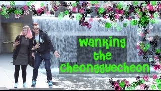The Cheonggyecheon
