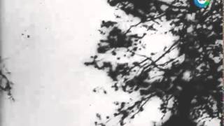 Освобождение 11 октября 1944: освобожден административный центр Венгрии – Сегед