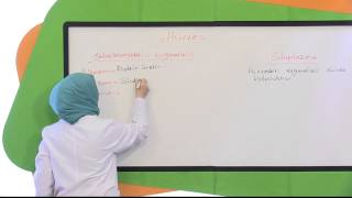 6. Sınıf Fen Bilimleri Görüntülü Eğitim Seti (Hücre)