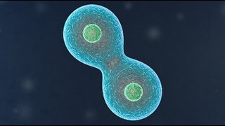 Самолечение в лучшем смысле этого слова. (12+) ч.5