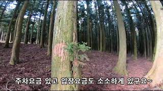 제주도 산책하기 좋은곳 걷기좋은곳 클릭