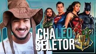 SELECIONANDO HERÓIS DA DC PARA AS CASAS DE HOGWARTS