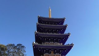 兵庫県　宝塚市　紫雲山　中山寺　初詣　2019年1月4日（金）