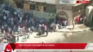 Ближневосточным странам нужны диктаторы-добровольцы
