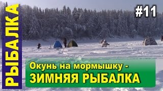 Зимняя рыбалка на окуня на мормышку 2016. Сибирь, тайга и положительные эмоции