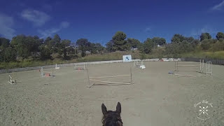 LES DIFFERENTS PROFILS D'OBSTACLES EN CSO  ?