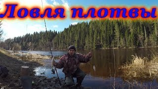 Ловля плотва на реке Кичменьга в начале мая!!! Утренний клёв...