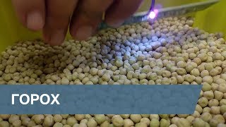 Сортировка Гороха / Peas Sorting
