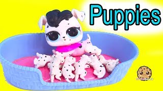 LOL Surprise Pets Dog Has Puppies !  Cookie Swirl C Toy Video