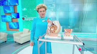 Здоровье. Аденома простаты. Новейший метод лечения.(28.01.2018)