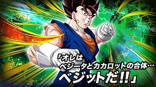 LR VEGITO TUR SA ANIMATION ★ Dokkan Battle