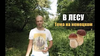 В лесу. Тема на немецком