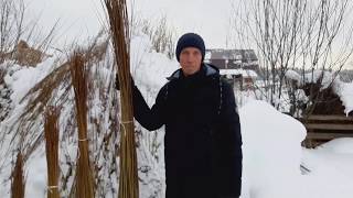 Прут для плетеных деревьев