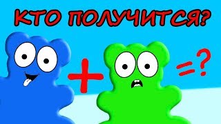 Скрещивать Желейного Медведя Тимона и Макса? Получится Желейный Медведь Валера?