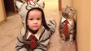 猫と赤ちゃんの戦い ? 猫に怒られた赤ちゃんの面白い動画 ? 猫と赤ちゃんのハプニング