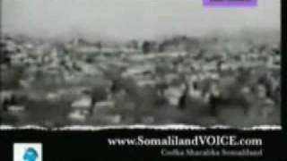 Max'ed Cali Samatar 5