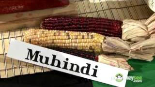Gathering the Seven Symbols of Kwanzaa