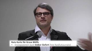 Graue Wölfe in Wetzlar