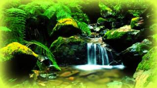 Веселый Лесной Ручей - Релаксация / Relaxing Forest Creek