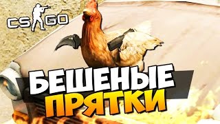 БЕШЕНЫЕ ПРЯТКИ КУРОЧЕК В CS:GO ( УГАР )