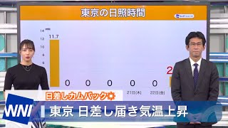 東京 日差しカムバック☀️今週は気温上昇