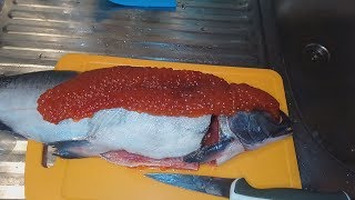 Как засолить Горбушу дома быстро за 12 часов! Красная рыба солится 12 часов!