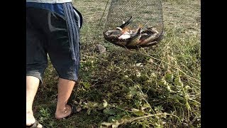 Эту рыбалку я запомню на всю жизнь. Осенняя рыбалка на кабанскую плотву