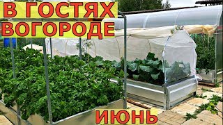 В ГОСТЯХ на нашем ОГОРОДЕ 13 июня Подмосковье