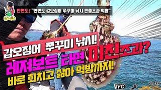 갑오징어낚시 쭈꾸미낚시 레져보트 조과는? 안면도 갑오징어와 쭈꾸미 레져보트를 타고 쓸어담아 먹방까지!korea cuttlefish fishing mukbang