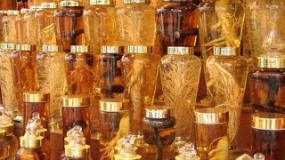 Настойка женьшеня при импотенции