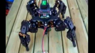 T-Hex Type QUADRUPED robot